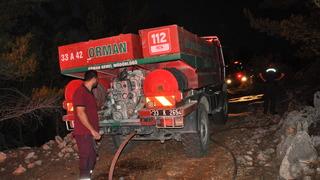 Mersin'de çıkan orman yangını büyümeden söndürüldü