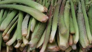 MasterChef ışkın otu nedir, nasıl pişirilir? Işkın otu nerede yetişir? İşte faydaları