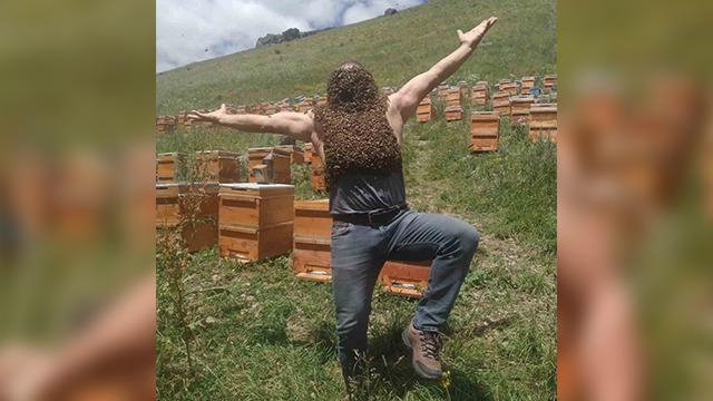 Karslı arıcının ölümle dansı! Binlercesini vücuduna yapıştırıp...