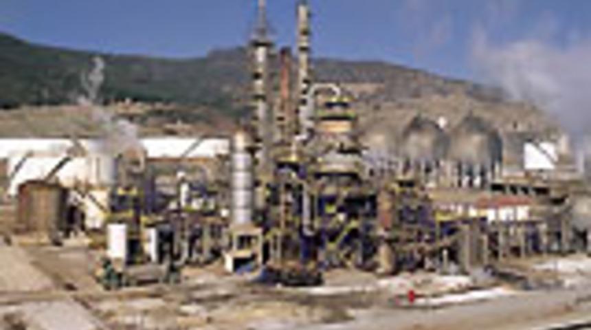 Petkim'de blok satış kararı