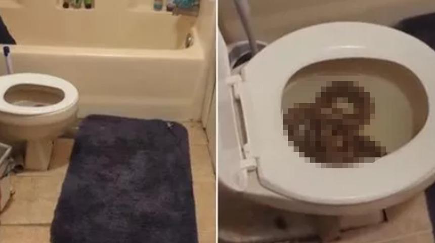 Tuvalete girdiğinde karşılaştığı manzara karşısında şoke oldu! Klozette 1.5 metrelik yılanı gördü...