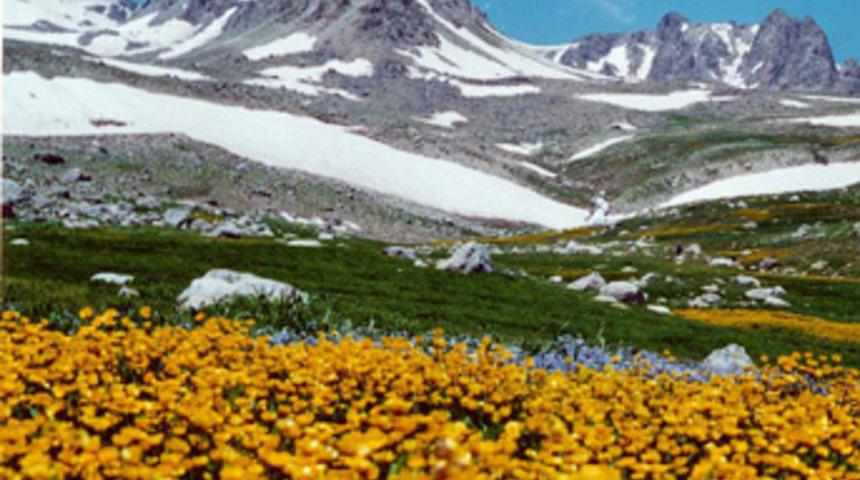 T&uuml;rkiye'deki buzullarda 50 metrelik k&uuml;&ccedil;&uuml;lme