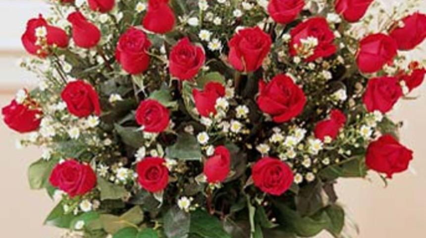 G&uuml;l&uuml;n vazo &ouml;mr&uuml; uzayacak