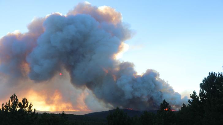SON DAKİKA | Kütahya'da orman yangını! Gevrekler köyü yakınlarında dumanlar yükseliyor