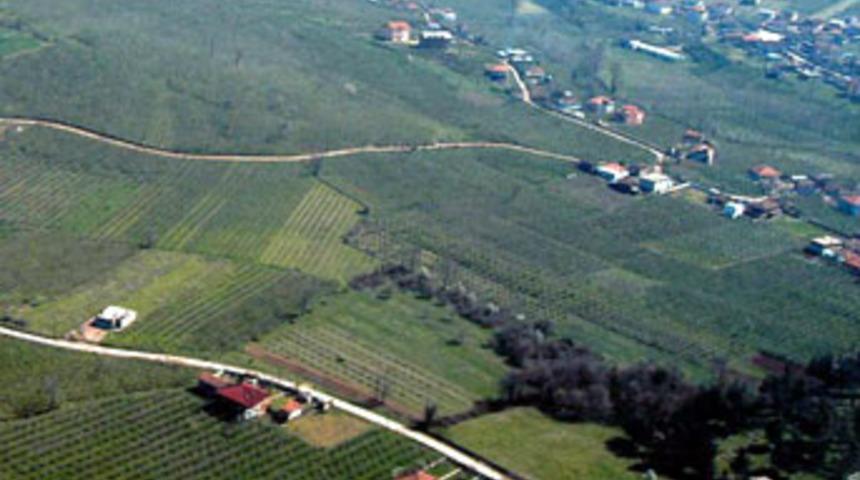 '2/B arazileri satılmasın' imza kampanyası