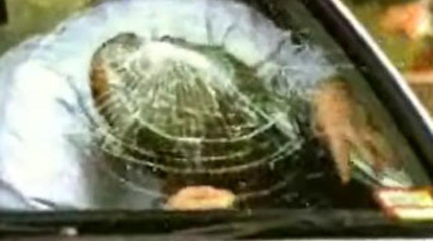 &Ouml;l&uuml;mle yaşam arasında 200 milisaniye