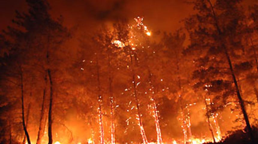 Bodrum cayır cayır