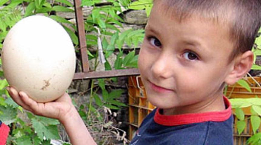 Tek yumurtayla 18 kişilik omlet