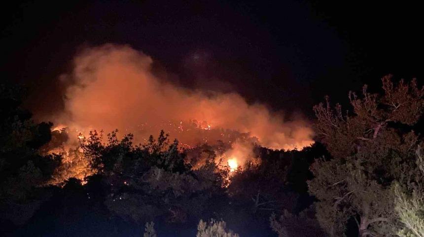 Çanakkale’de orman yangını! Müdahale başladı