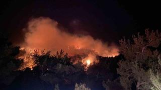 Çanakkale’de orman yangını! Müdahale başladı