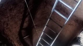 Bilecik'te evin bahçesindeki kuyuya düşen iki kişiden biri öldü