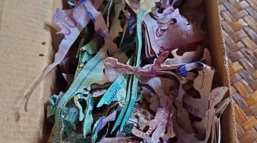 Hacca gitmek için yıllarca para biriktirdi! Karton kutuda sakladığı paralarının son halini görünce gözlerine inanamadı