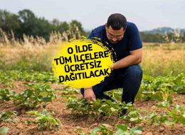 Ücretsiz dağıtılacak! Ekonomik getirisi yüksek... Kuraklığa dayanıklı, daha iyi gelir elde etmelerine katkı sağlayacak