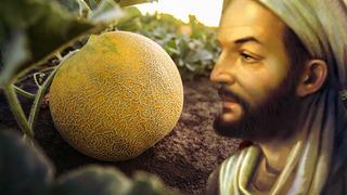 İbn-i Sina yıllar önce önerdi! Kavun kabuklarını sakın çöpe atmayın! Her derde deva