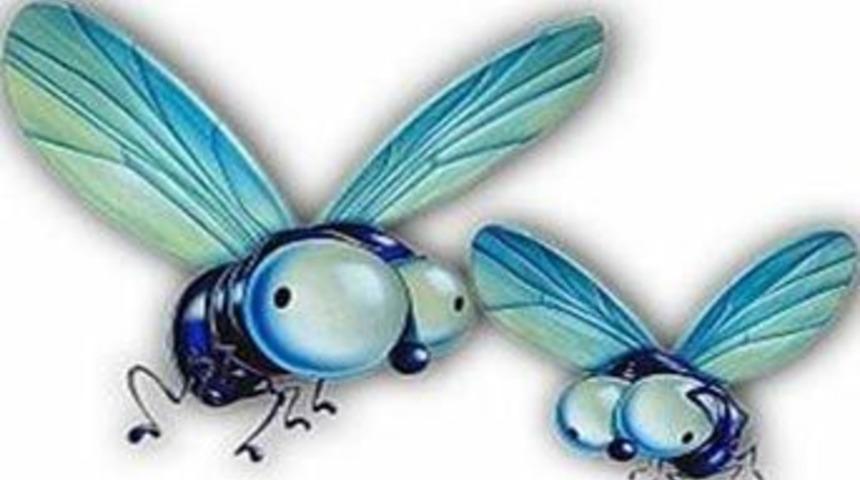 Sinekler de eşcinsel oldu