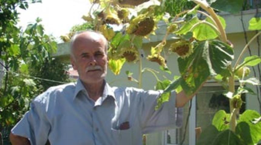 13 başlı ay&ccedil;i&ccedil;eği g&ouml;renleri şaşkına &ccedil;eviriyor