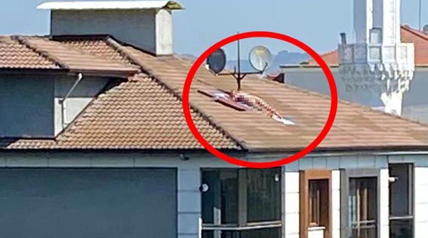 Çatıda çıplak halde güneşlenmişti! Kimliği şaşırttı... Cezası belli oldu