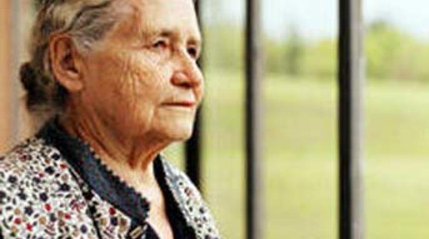 2007 Nobel Edebiyat &Ouml;d&uuml;l&uuml;'n&uuml;&nbsp;Lessing'in