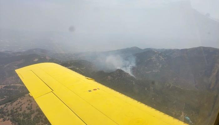 Son dakika: Manisa’da orman yangını! Alaşehir ilçesinden dumanlar yükseliyor
