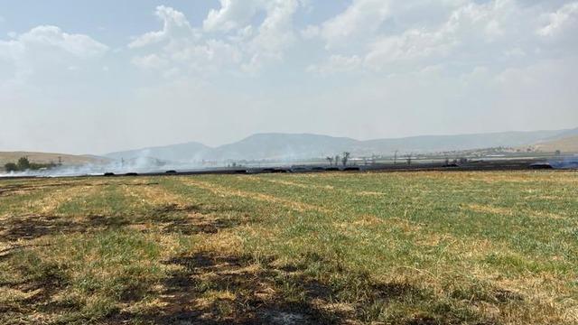 Isparta'da çıkan yangında 120 dekarlık arpa tarlası zarar gördü