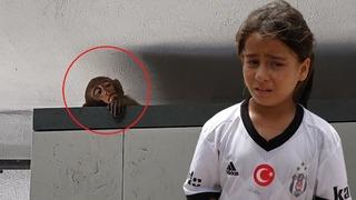 Şakir'i neden götürdüler ki? Ben onu çok sevdim Günlerdir evlere giriyordu! Maymun giderken gözyaşlarını tutamadı