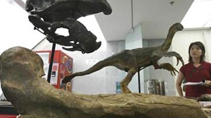 Dinozorlar penguenler gibi nefes alıyormuş