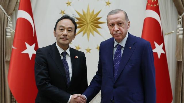 Büyükelçilerden Cumhurbaşkanı Erdoğan'a güven mektubu