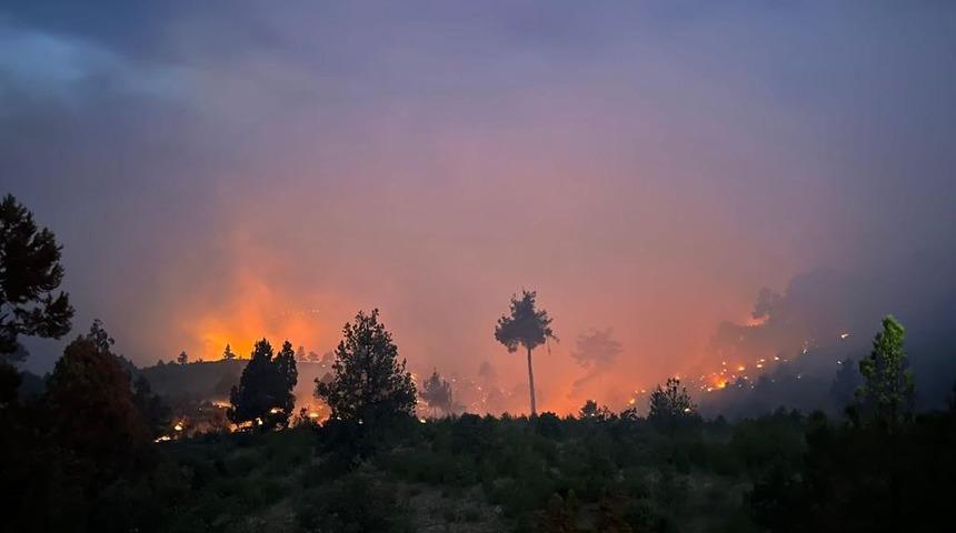 Nallıhan’da yıldırım düşmesi sonucu çıkan yangına müdahale sürüyor