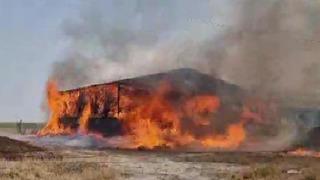 Çiftlikte yangın faciası! 33 büyükbaş hayvan can verdi