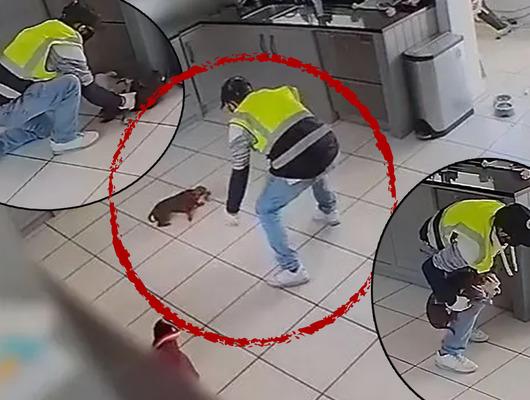 Köpeği böyle çaldı! Bir eliyle ağzını kapatıp kucaklayarak koşarak kaçtı