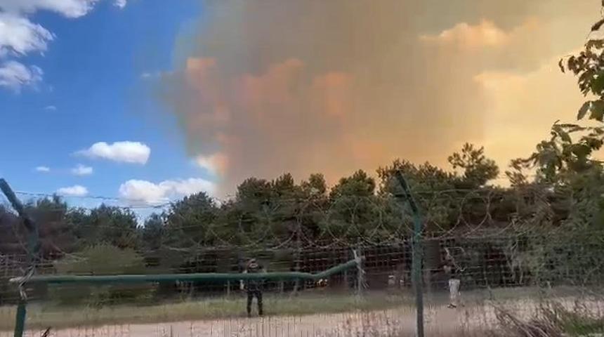 SON DAKİKA | Sultangazi'de orman yangını! 45 dakika süren çalışma sonucu kontrol altına alındı