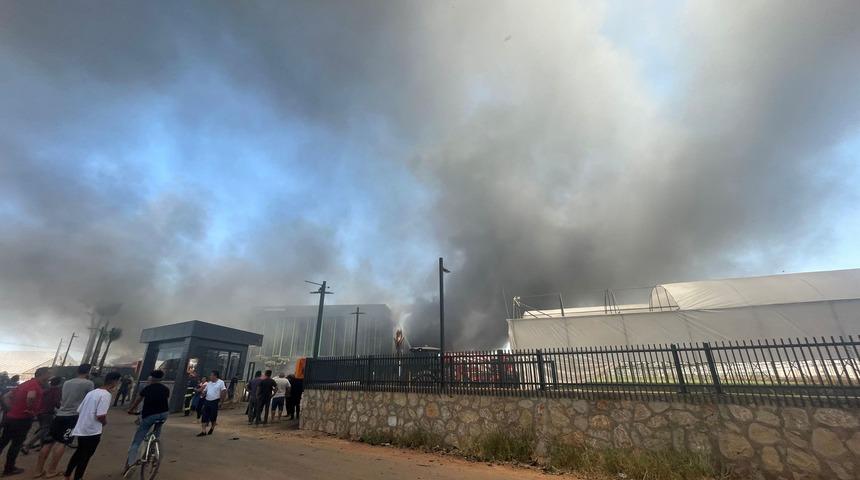 Antalya'da çiçek üretici firmasında yangın çıktı