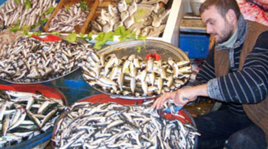 T&uuml;rkiye'de yıllık 300 bin ton hamsi avlanıyor