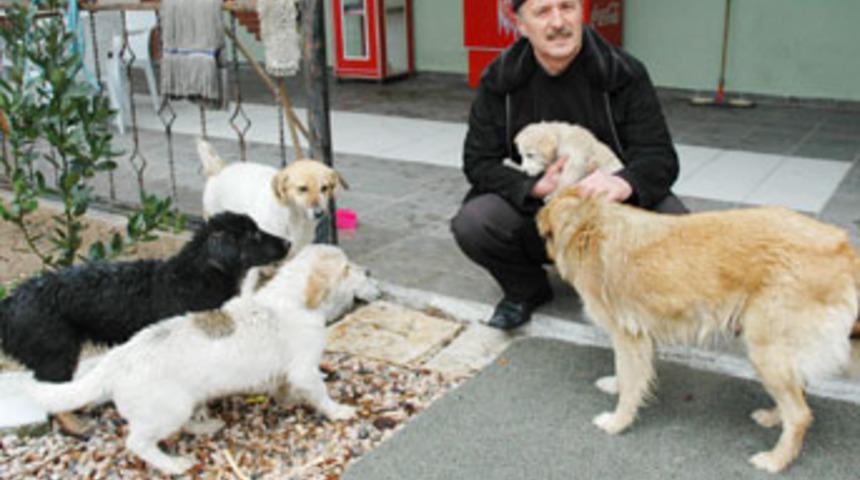 Sakarya'da ilgin&ccedil; ceza