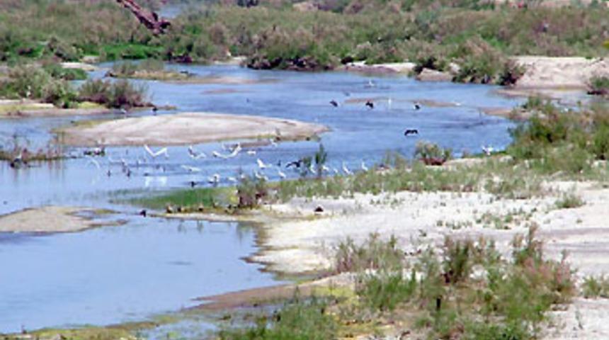 Kuş Cenneti'nde kuş t&uuml;r&uuml; ve sayısı azalıyor
