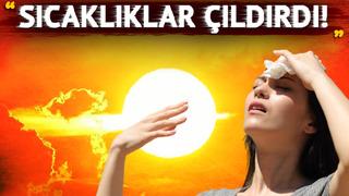 'Sıcaklıklar çıldırdı' diyerek uyardı, acil çağrı yaptı! İzmir ve Şile sözleri dikkat çekti: 'Bunlar daha iyi günlerimiz!' 