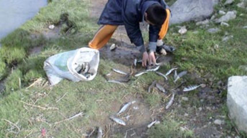 İnci kefali balığının ser&uuml;veni başladı