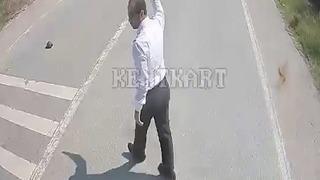 Kaplumbağanın ezilmemesi için araçları durduran şoför hareketiyle takdir topladı