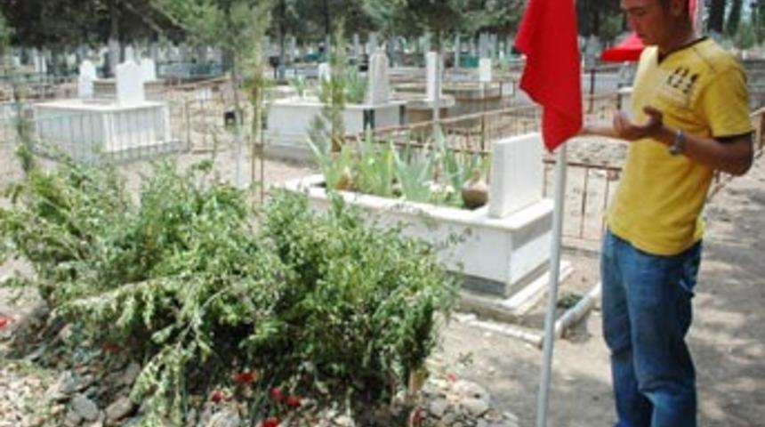 İkiz kardeşin intikam yemini