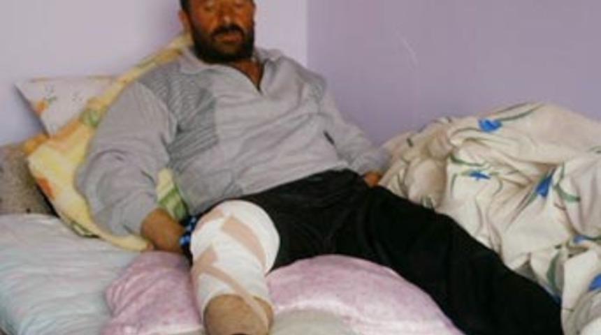 Ayının saldırısına uğrayan &ccedil;oban yaralandı