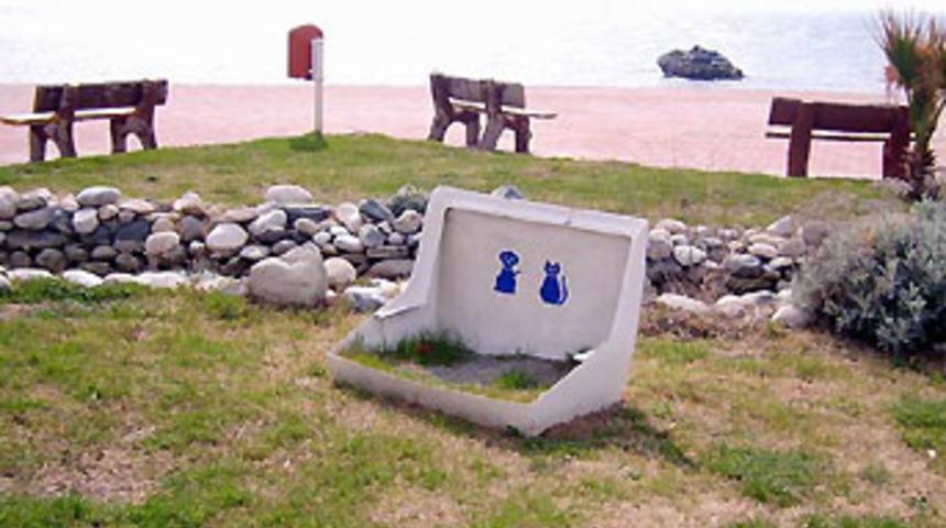 Balıkesir'de evcil hayvan tuvaletleri