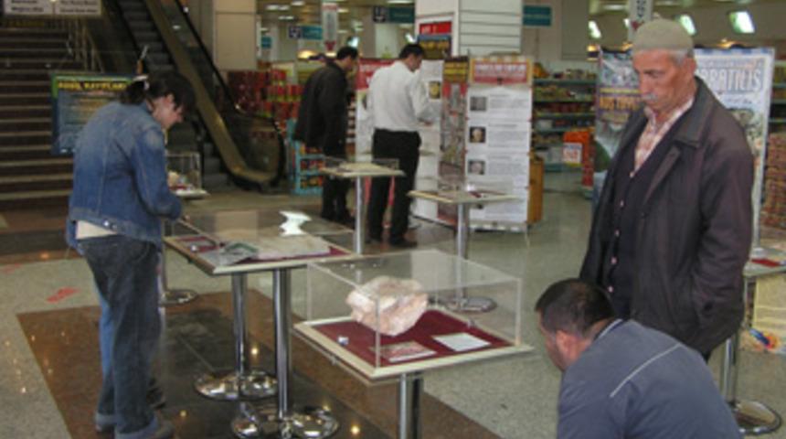 D&uuml;zce'de fosil sergisi