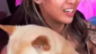 Twitch canlı yayında fenomenin zor anları! Köpeği bir anda kucağına çıkıp tuvaletini yaptı... Cezası gecikmedi