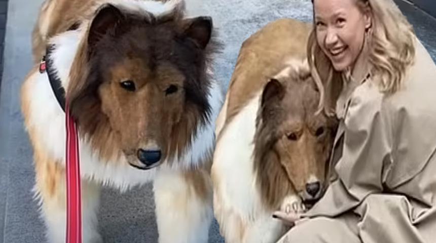 Görenler gerçek zannetti! Köpek arkadaşları var ama o bir insan... Kostümünün fiyatı dudak uçuklattı