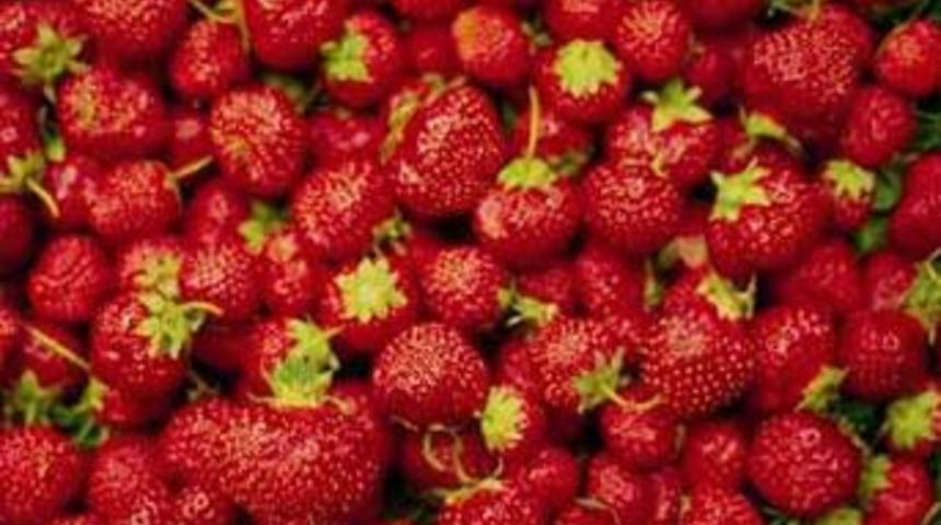 &Ccedil;ilek kanseri &ouml;nl&uuml;yor