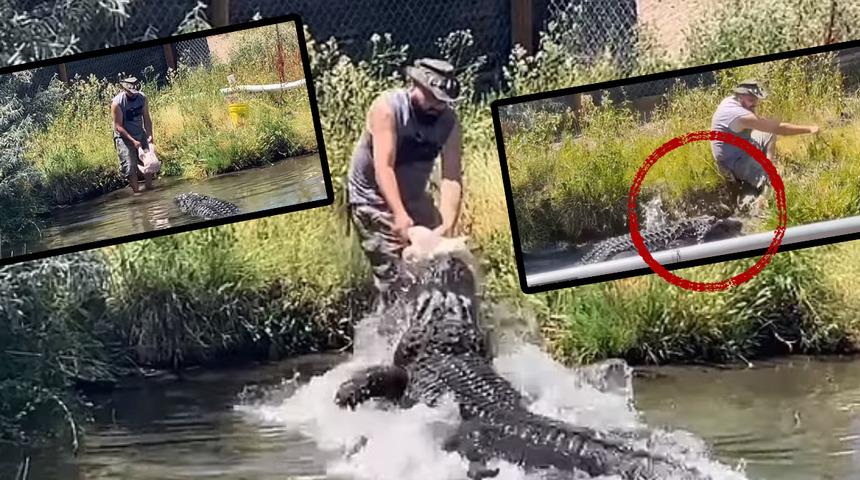 Facianın eşiğinden dönüldü! Timsahı beslerken ayağı kayınca... Saniye saniye dehşet anları!