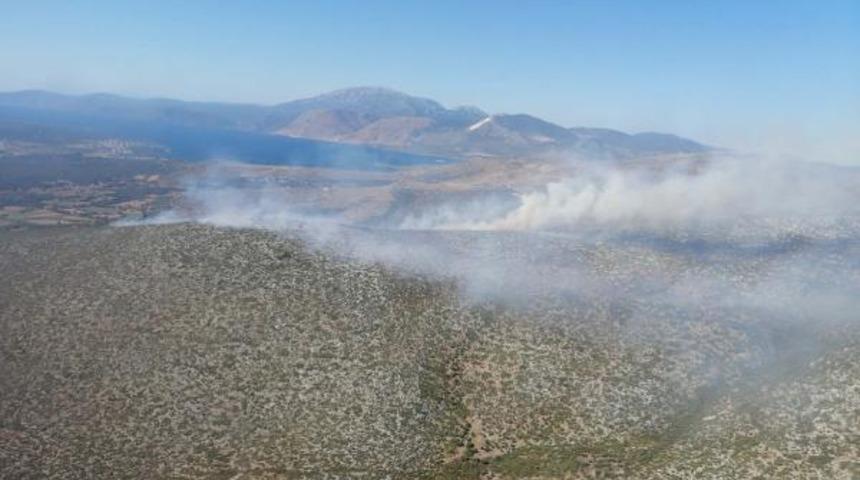 SON DAKİKA | İzmir'de orman yangını! Çok sayıda ekip sevk edildi