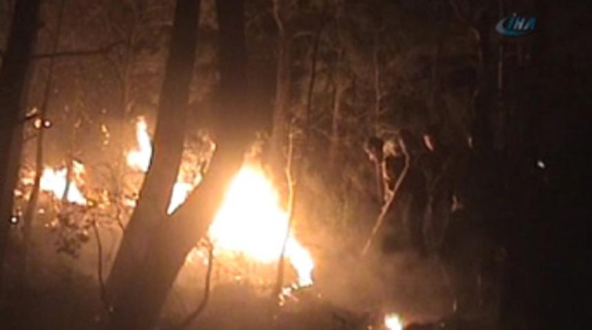 Marmaris'teki orman yangını kontrol altında