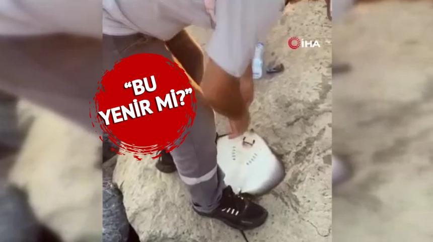 İstanbul'da tutulan balık şaşkına çevirdi! "Bu yenir mi?"