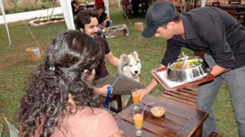 T&uuml;rkiye'nin ilk k&ouml;pek kafesi hizmete girdi